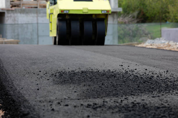 Best Decorative Driveway Pavers  in Tamarac, FL