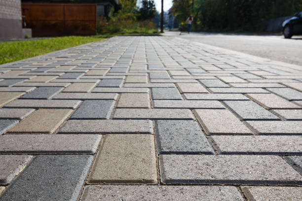 Best Professional Driveway Pavers  in Tamarac, FL