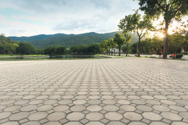 Best Decorative Driveway Pavers  in Tamarac, FL