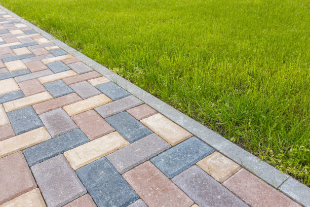 Best Interlocking Driveway Pavers  in Tamarac, FL